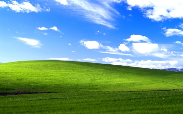 Das "Bliss" genannte Bild ist zu einem der Markenzeichen von XP geworden. Rechte: Microsoft.